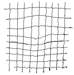lines.jpg