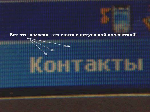 Foto.gif