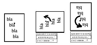 q.png