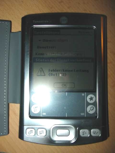 palm.jpg