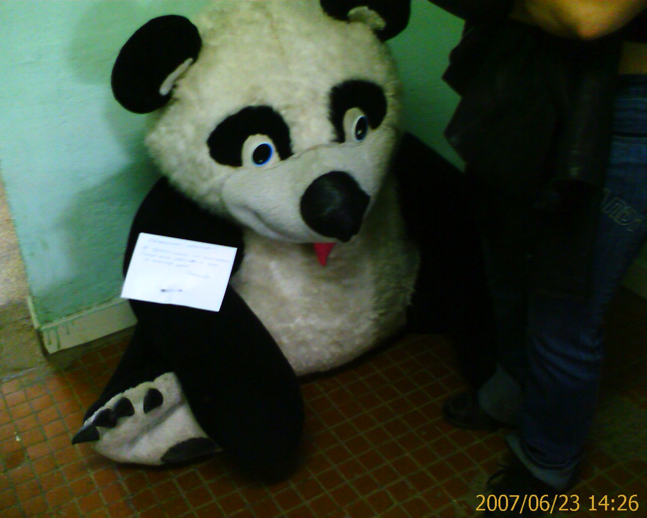 IMAGE_00101.jpg