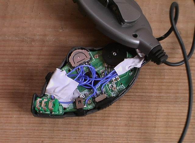 Resize of IMGA0619.JPG