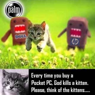 cat.jpg