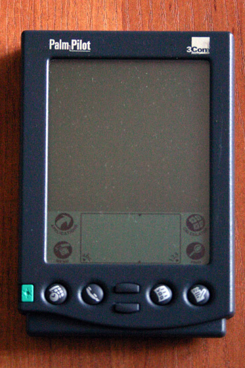 Palm-1.jpg