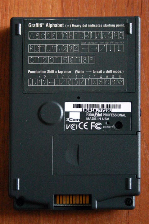 Palm-2.jpg