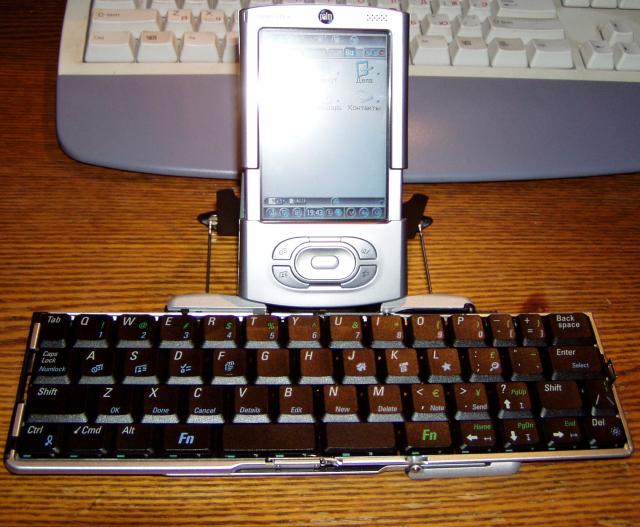 palm_kb-4.jpg