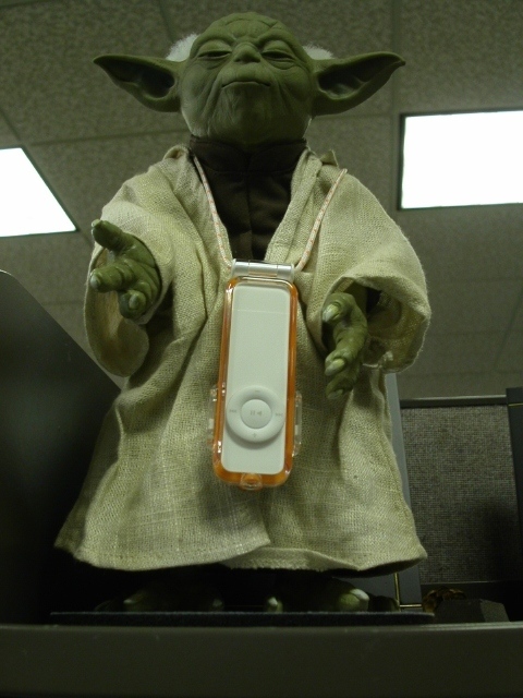 yoda.jpg