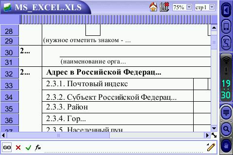 MSExcell.jpg
