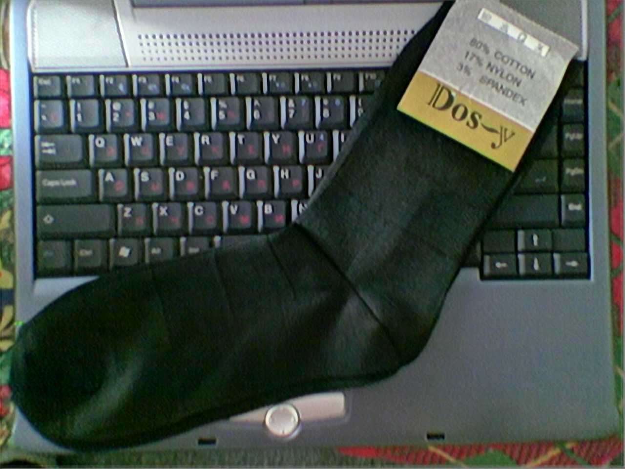 image2.jpg