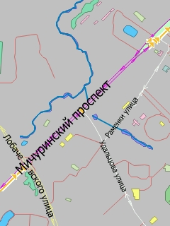 Мичура ц.jpg