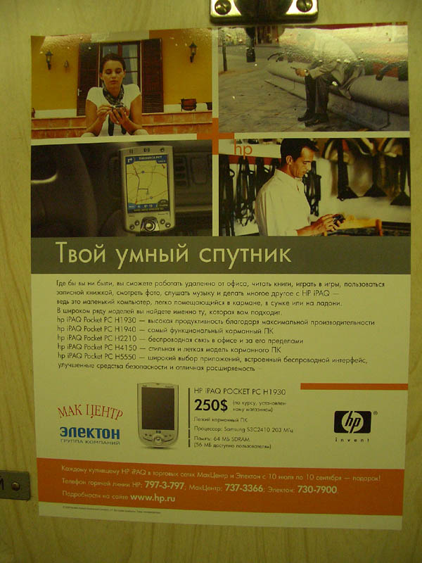 CIMG2856-1.jpg