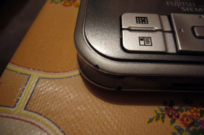 P1000154-1.jpg