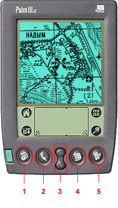      Palm-a