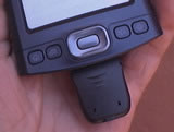   Palm TX