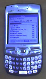  GSM- Palm Nitro