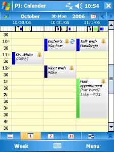 Pocket Informant Calendar   Pocket Informant 2007