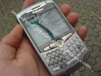    Blackberry Daytona
