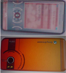   Sony Ericsson Walkman W890i/910i