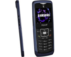      Samsung SGH-U100   