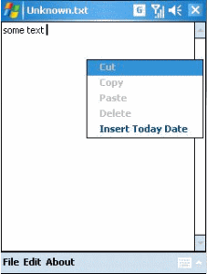 Notepad:     Pocket PC