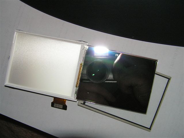 PB063081s.JPG
