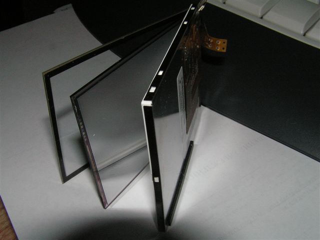 PB063076s.JPG